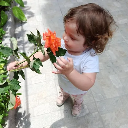 ,, Ekaterina