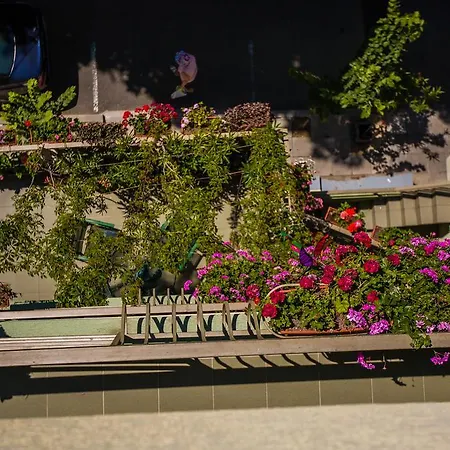 게스트하우스 ,, Ekaterina