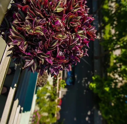 게스트하우스 ,, Ekaterina