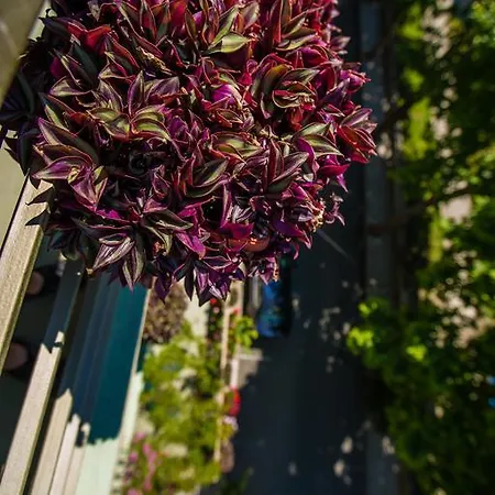 Gasthuis ,, Ekaterina