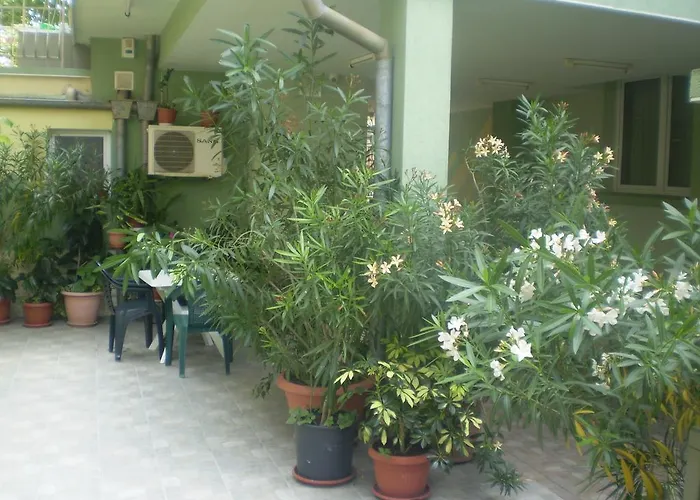 招待所 ,, Ekaterina