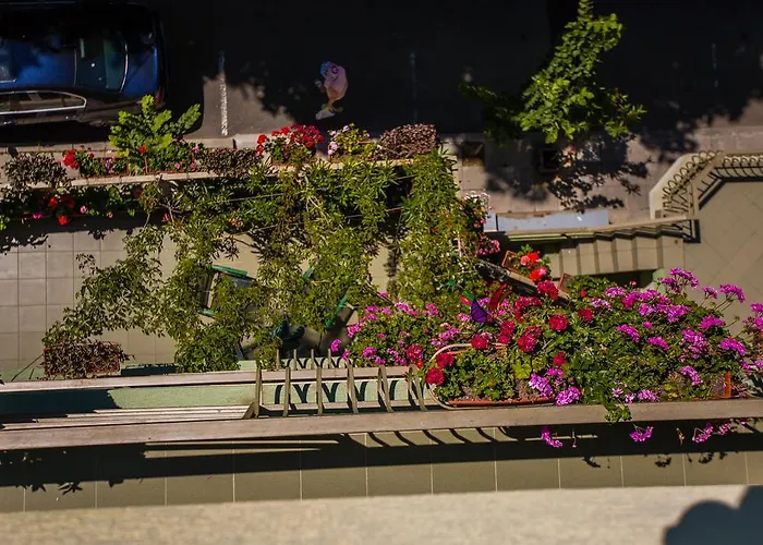 招待所 ,, Ekaterina