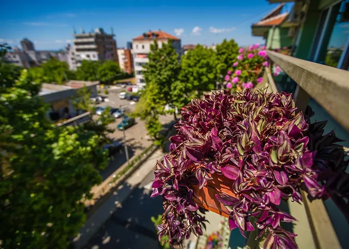 招待所 ,, Ekaterina